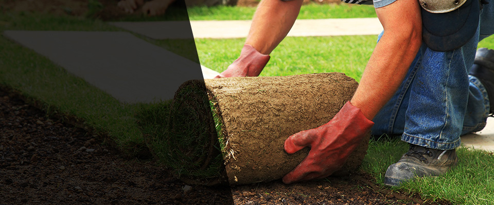 Haverstraw Landscapers